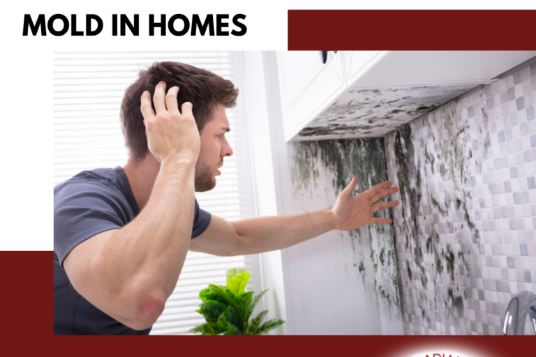 Acadiana Home Inspectors Unmasking The Impact Of New Iberia's Humidity On Mold In Homes