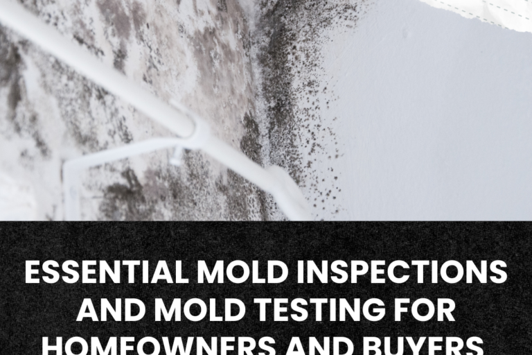 Essential Mold Inspections And Mold Testing For Homeowners And Buyers