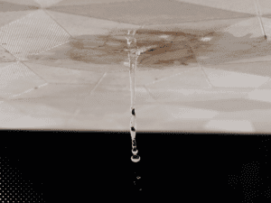 Water dripping from ceiling stain indicating potential roof leak discovered during home inspection in Lafayette LA